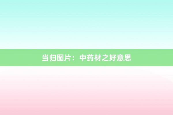 当归图片：中药材之好意思